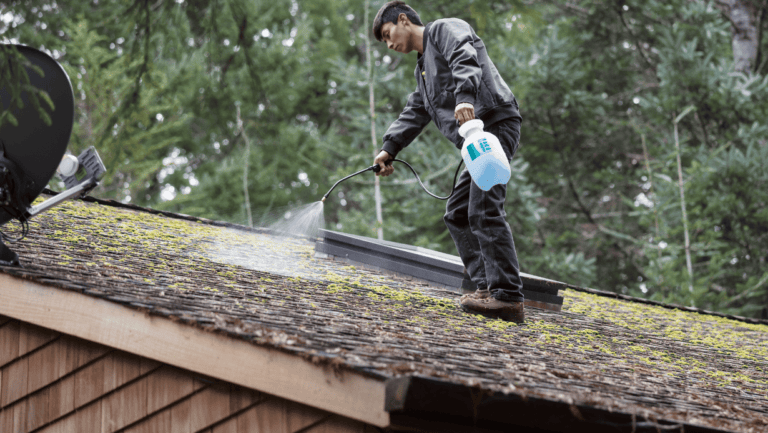 Heavy moss and algae growth across a concrete-tile roof on a tree-covered Glanmire semi-D before soft-wash treatment