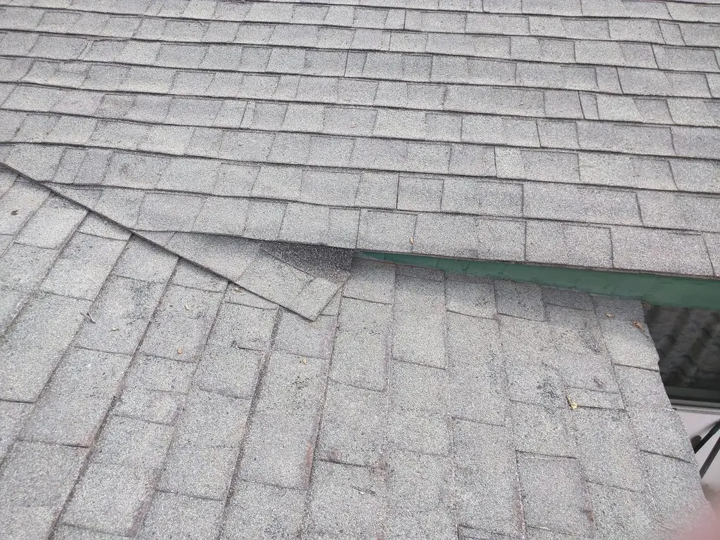 asphalt shingles for roof